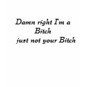 Damn right I'm a Bitch   just not your Bitch t-shirts
