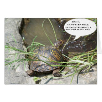 Damn Turtle Card