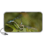 Damselflies Mating iPhone Speaker