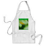 Damselfly 01 aprons