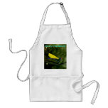 Damselfly 01 aprons