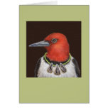 Dan the red-headed woodpecker card