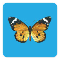 Danaus chrysippus butterfly square stickers