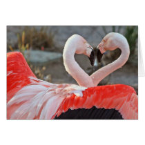 Dance of Love