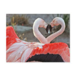 Dance of Love postcards