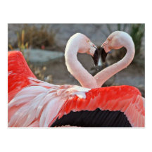 Dance of Love Postcards