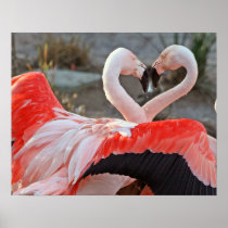 Dance of Love