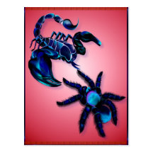 Dance Of The Arachnids Postcard