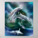 Dance Of The Dolphins Art Poster/Print