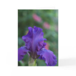 Dance of the Purple Iris Greeting Card