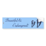 Dance Of The Seahorses (Blue)