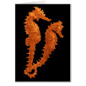 Dance Of The Seahorses (Orange) cards