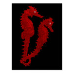 Dance Of The Seahorses (Red) Post Cards