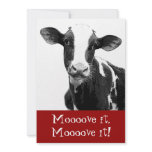 Dance til the Cows Come Home - Bachelorette Party invitations
