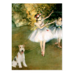 Dancer - Wire Fox Terrier #1 Post Cards