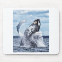 Dances with Whales Mousepads