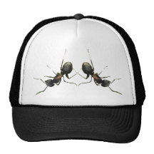 Dancing Ants Hats