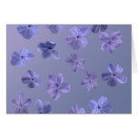 Dancing Blossoms Greeting Card
