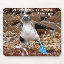 Dancing Booby, Isla Seymour, Galapagos Mousepad