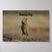 dancing dog  poster