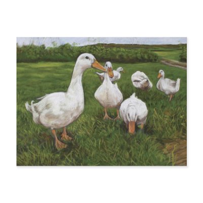 Dancing ducks postcard by thepastelartist