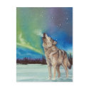 Dancing Lights howling wolf postcard