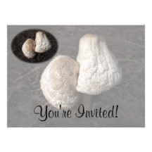 Dancing Mushrooms Duo Personalised Announcements
