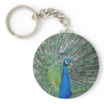 Dancing Peacock keychains