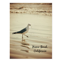 Dancing Seagull Postcards