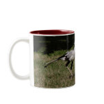 Dancing secretary birds mug