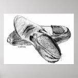 Dancing Shoes posters