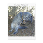 Dancing With Snake postcards