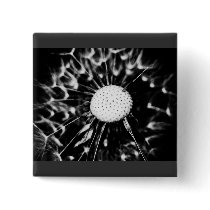 dandelion blacq pins