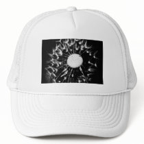 dandelion blacq hats