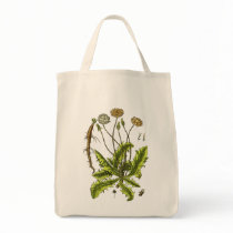 Dandelion Botanical Illustration Tote Bag