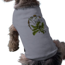 Dandelion Botanical Illustration Pet Tshirt