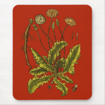 Dandelion Botanical Illustration Mouse Pad