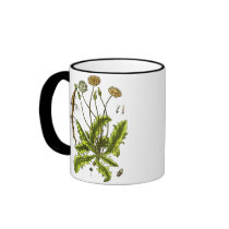 Dandelion Botanical Illustration Mug