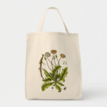 Dandelion Botanical Illustration Tote Bag