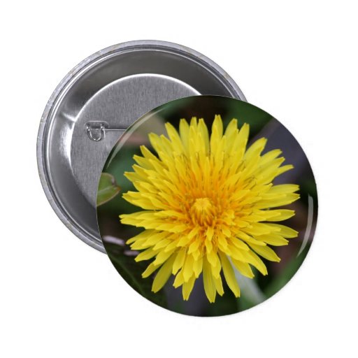 Dandelion Button
