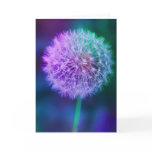 Dandelion card