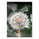 Dandelion Clock cards