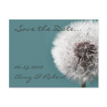 Dandelion Clock Teal, Save the Date postcards
