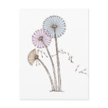 Dandelion Clocks blowing away in the breeze postcards