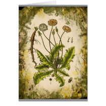 Dandelion Collage Card