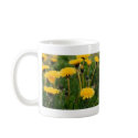 Dandelion Field mugs