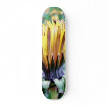Dandelion Flower Almost In Bloom Skate Decks