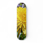 Dandelion Flower In Grass skateboards
