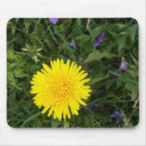 Dandelion flower mousepads