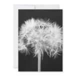 Dandelion Invitation
